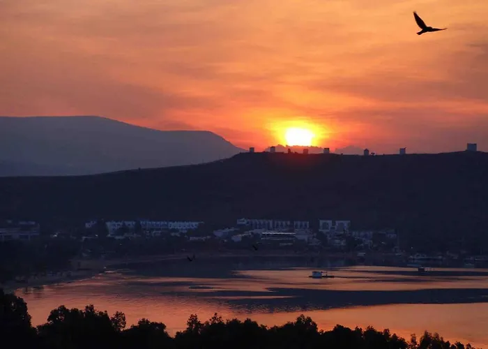 Luxury With Panoramic Sea View Villa