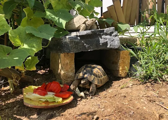 Luxury With Panoramic Sea View Bodrum