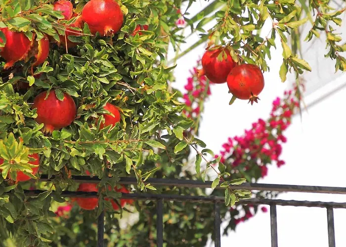 Luxury With Panoramic Sea View