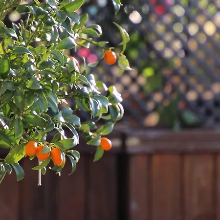 Luxury With Panoramic Sea View Villa *