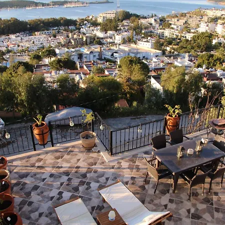 Luxury With Panoramic Sea View Villa Bodrum
