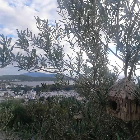 Villa Luxury With Panoramic Sea View *