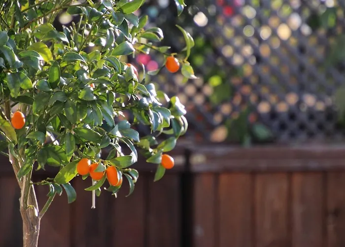 Luxury With Panoramic Sea View Villa *