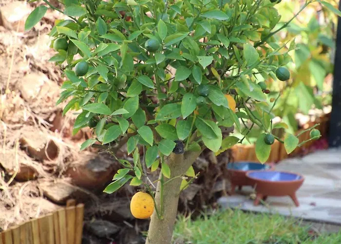 Luxury With Panoramic Sea View *