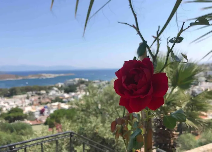 Villa Luxury With Panoramic Sea View