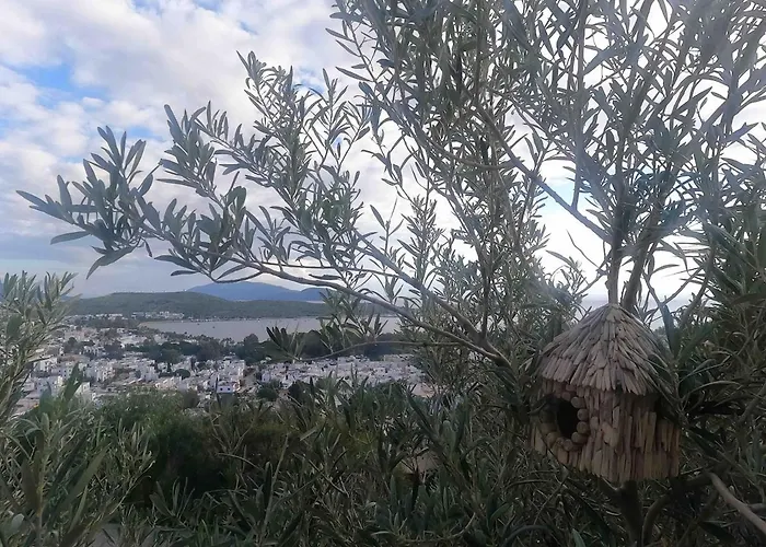 Vila Luxury With Panoramic Sea View *