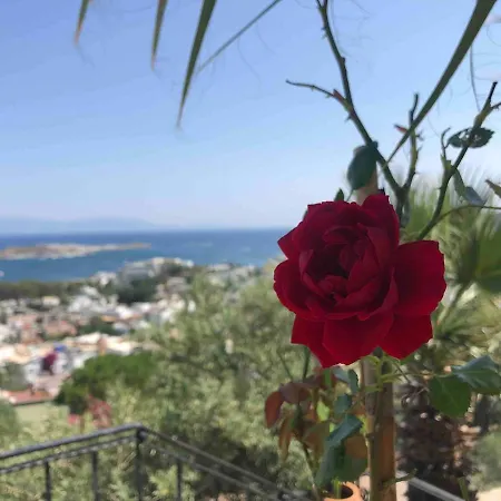 Vilă Luxury With Panoramic Sea View