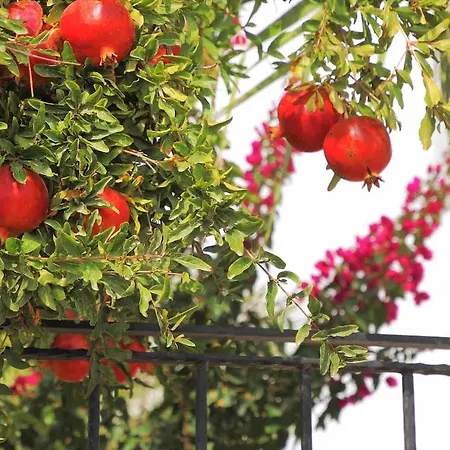 Luxury With Panoramic Sea View